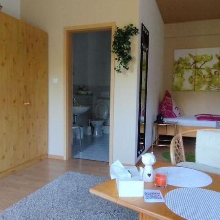 Apartament Doppelzimmer An Der Lahn Ohne Kueche Obernhof Zewnętrze zdjęcie